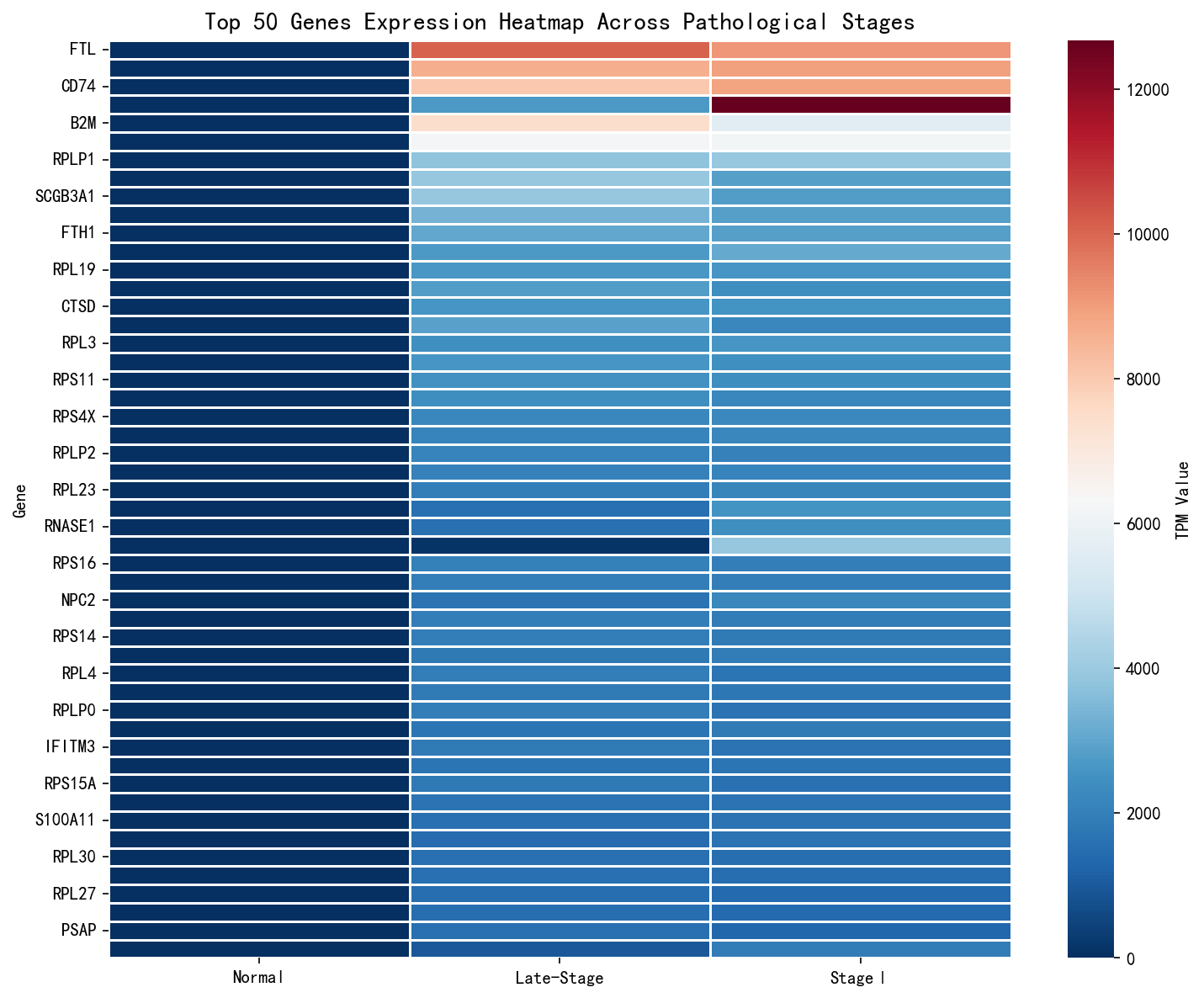 gene_expression_heatmap